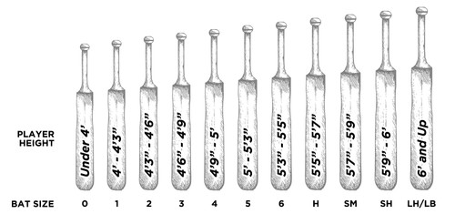 Cricket Bat Size