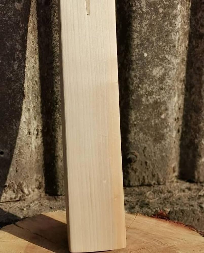 How to Select a cricket bat