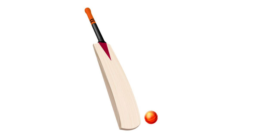 Cricket bat handle types