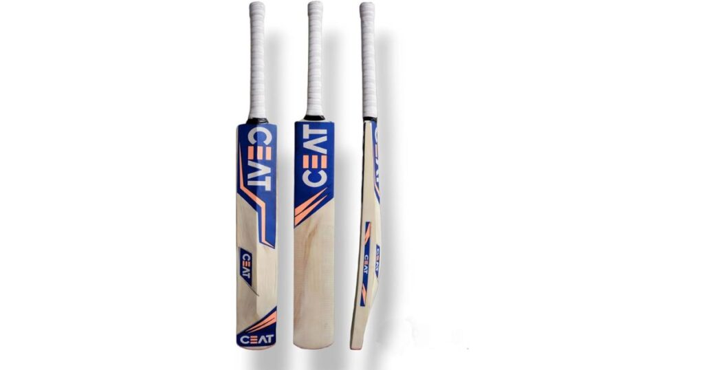 Kashmir Willow Cricket Bat