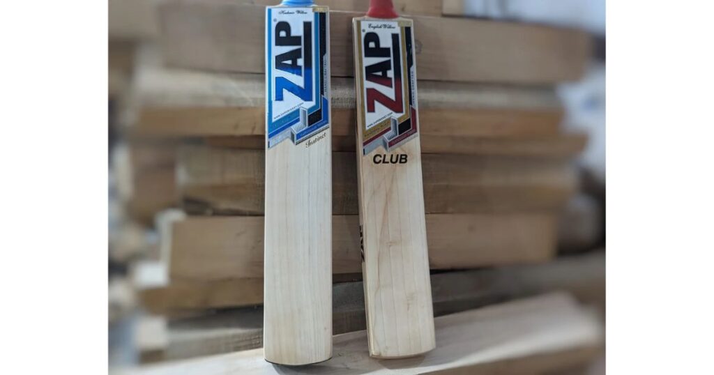 Kashmir Willow vs English Willow Cricket Bats